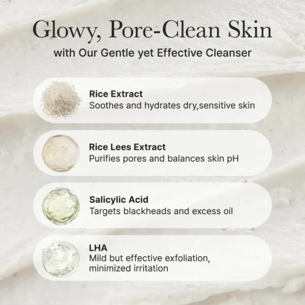 Arencia Rice LHA Cleanser key ingredients: rice extract, rice lees extract, salicylic acid and LHA