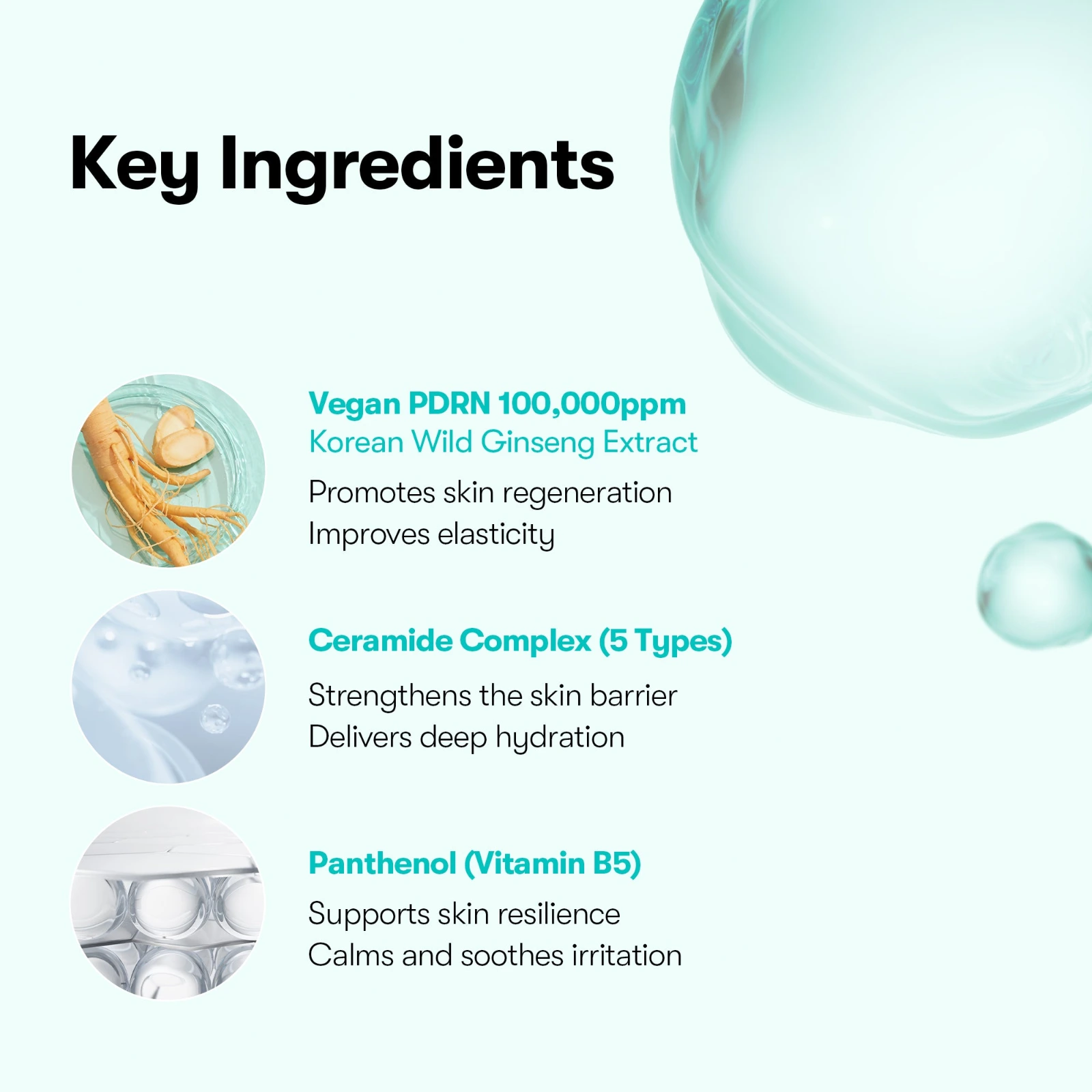 VT PDRN Essence 100 key ingredients: vegan PDRN 100,000ppm Korean wild ginseng, 5-type ceramide complex and panthenol