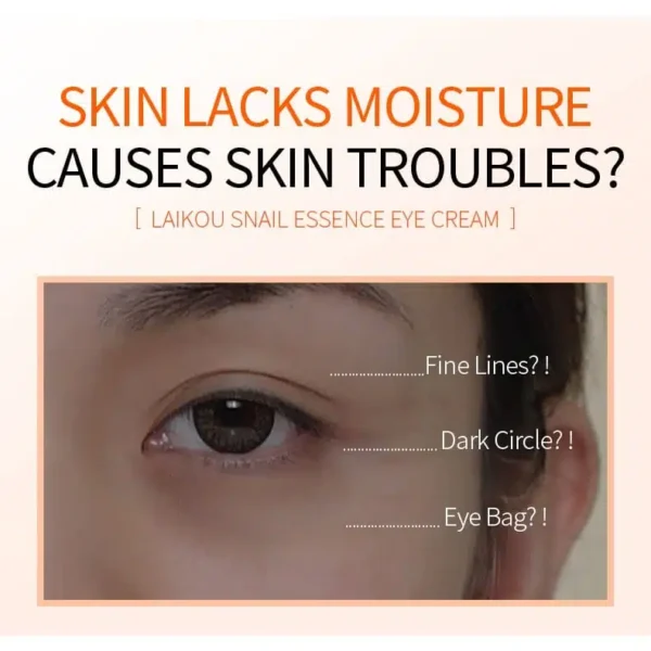 LAIKOU Snail Essence Eye Cream image 2