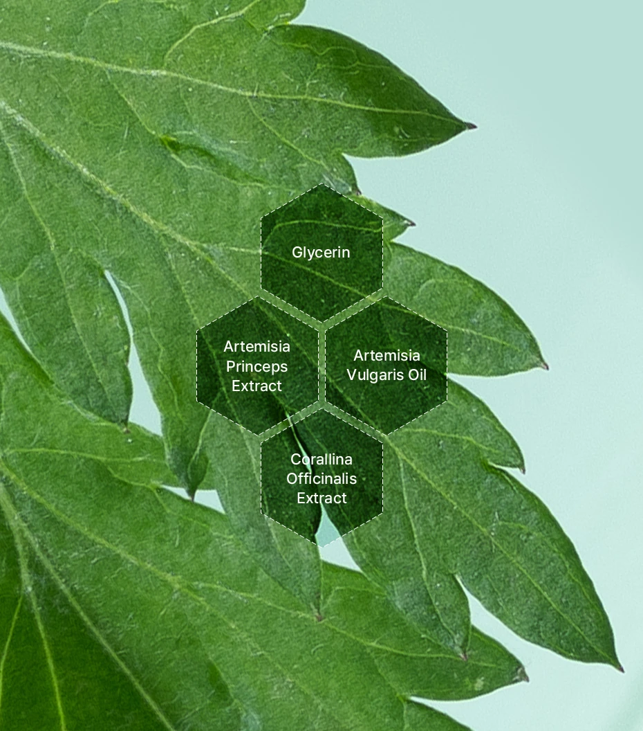 I'm From Mugwort Gel Cleanser mugwort leaf