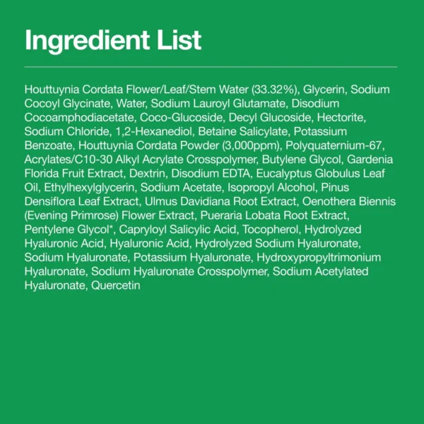 Anua Quercetinol Cleansing Foam full ingredient list
