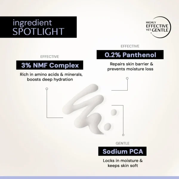 Deconstruct Oil-Free Moisturizer key ingredients: 3% NMF Complex and 0.2% Panthenol