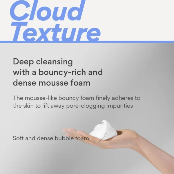 Innisfree Bija Trouble Cleansing Foam key ingredients overview graphic